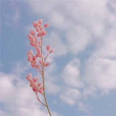 幻想空战手机版下载